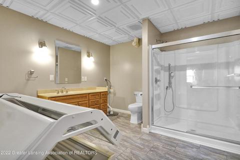 369 E Baseline Hwy, Olivet, MI 49076 photo 39