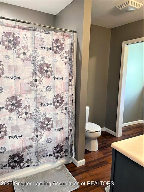 131 N Franklin St, Maple Rapids, MI 48853 photo 11