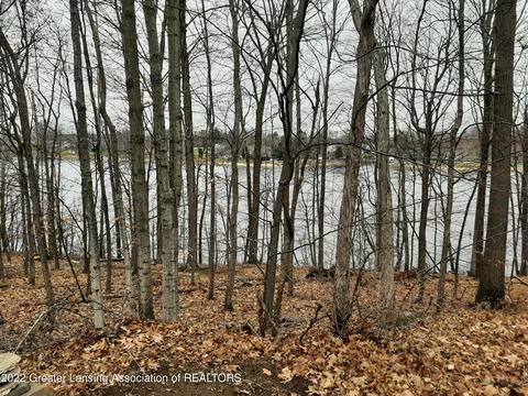0 Rainbow Lake Rd, Maple Rapids, MI 48853 photo 2