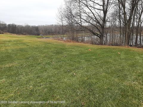 0 Rainbow Lake Rd, Maple Rapids, MI 48853 photo 3