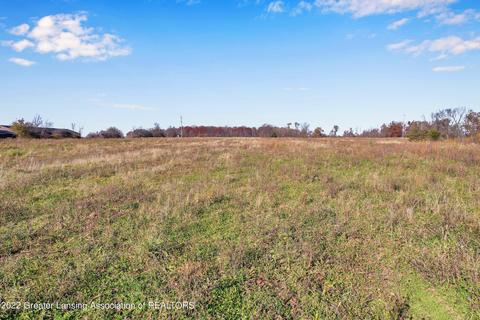 4354 W Lehman Rd, Dewitt, MI 48820 photo 14