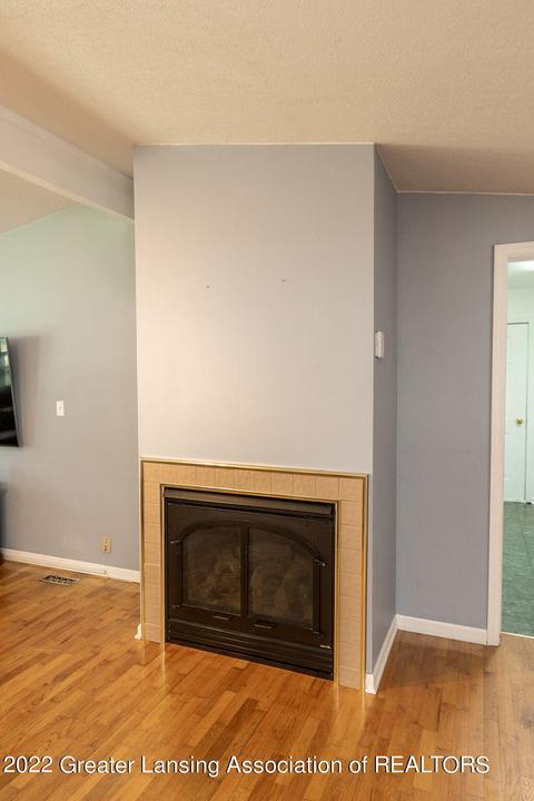 1319 Bayshore Dr, Haslett, MI 48840 photo 5