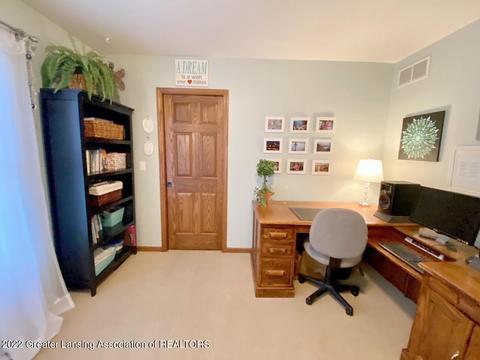 13502 Cottonwood Ct, Dewitt, MI 48820 photo 17