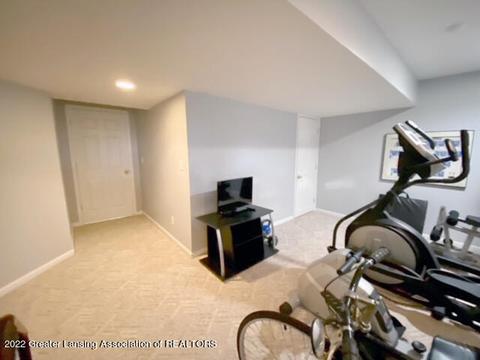 13502 Cottonwood Ct, Dewitt, MI 48820 photo 40