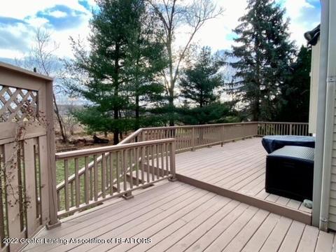 13502 Cottonwood Ct, Dewitt, MI 48820 photo 43