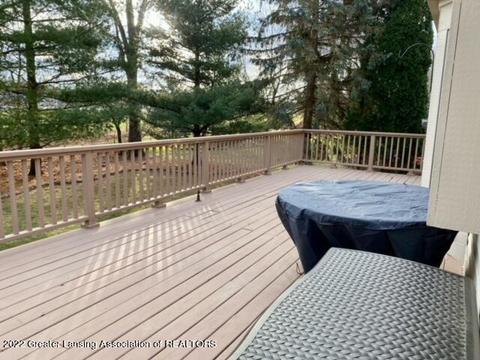 13502 Cottonwood Ct, Dewitt, MI 48820 photo 44