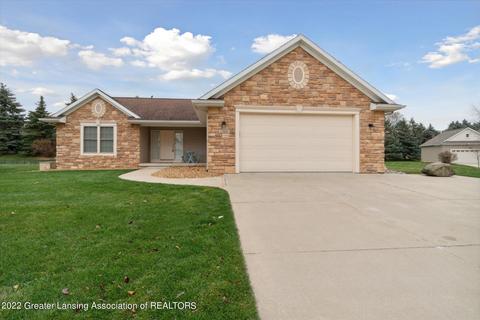 13641 Pearwood Dr, Dewitt, MI 48820 photo 41