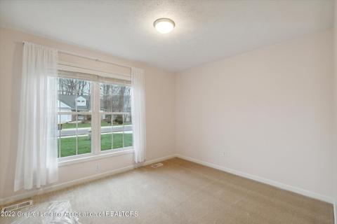 13641 Pearwood Dr, Dewitt, MI 48820 photo 18