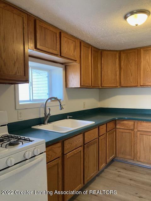 7227 Pats Dr, Dimondale, MI 48821 photo 13