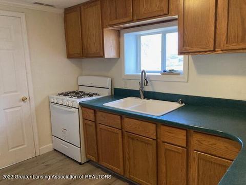 7227 Pats Dr, Dimondale, MI 48821 photo 16