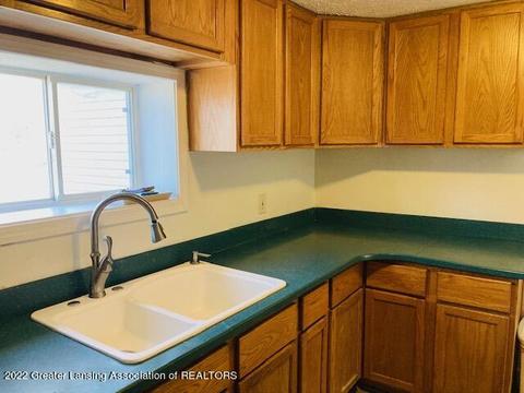 7227 Pats Dr, Dimondale, MI 48821 photo 15