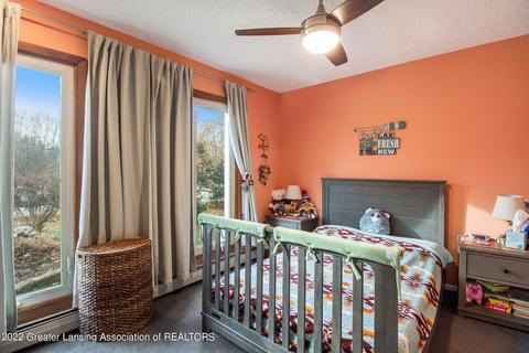 10189 Baron Blvd, Dimondale, MI 48821 photo 13