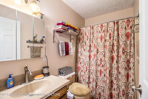10189 Baron Blvd, Dimondale, MI 48821 photo 14