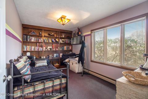10189 Baron Blvd, Dimondale, MI 48821 photo 22