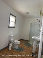 2289 E Hayes Rd, Ithaca, MI 48847 photo 13