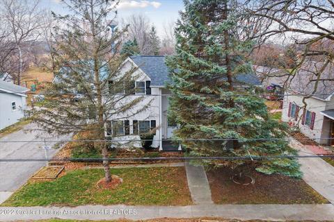 316 E Main St, Elsie, MI 48831 photo 43