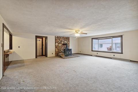 316 E Main St, Elsie, MI 48831 photo 20