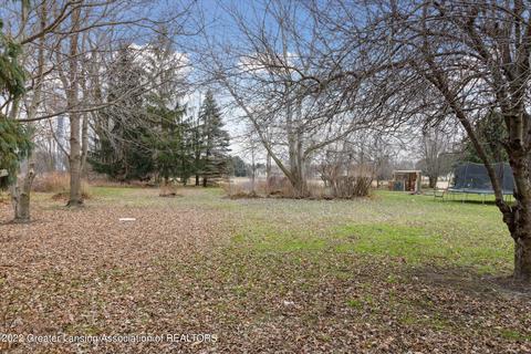 316 E Main St, Elsie, MI 48831 photo 51