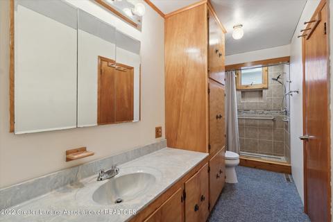 316 E Main St, Elsie, MI 48831 photo 29