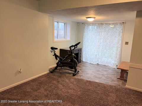 8464 W Howe Rd, Eagle, MI 48822 photo 24