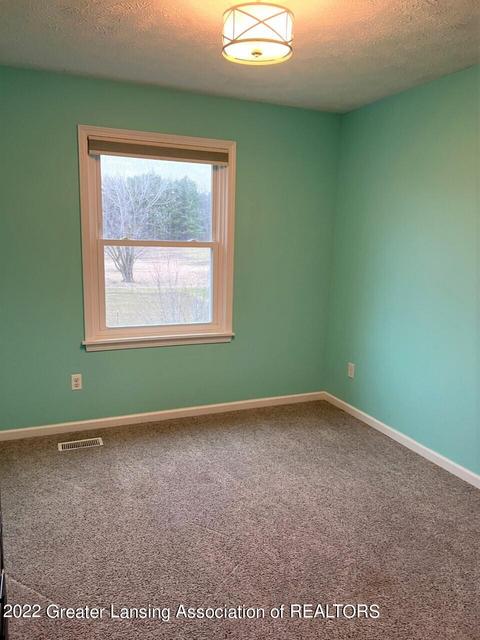 8464 W Howe Rd, Eagle, MI 48822 photo 20
