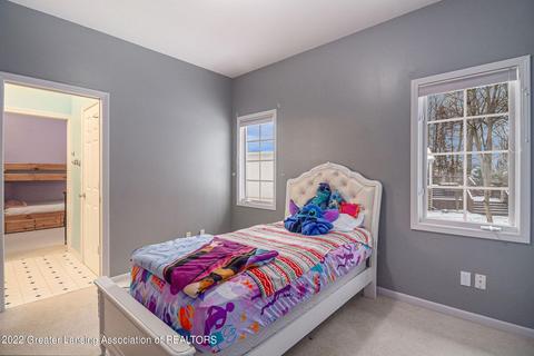 13446 Speckledwood Dr, Dewitt, MI 48820 photo 20