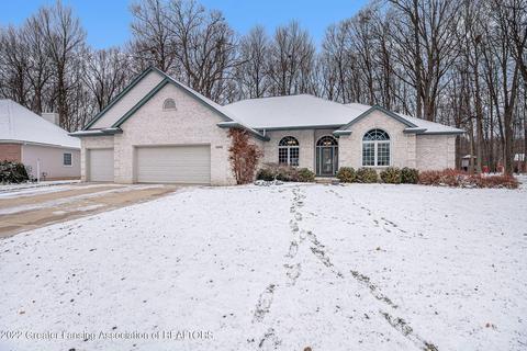 13446 Speckledwood Dr, Dewitt, MI 48820 photo 1