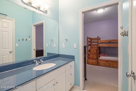 13446 Speckledwood Dr, Dewitt, MI 48820 photo 21