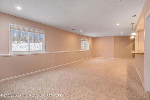 13446 Speckledwood Dr, Dewitt, MI 48820 photo 24