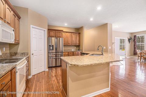 13446 Speckledwood Dr, Dewitt, MI 48820 photo 13