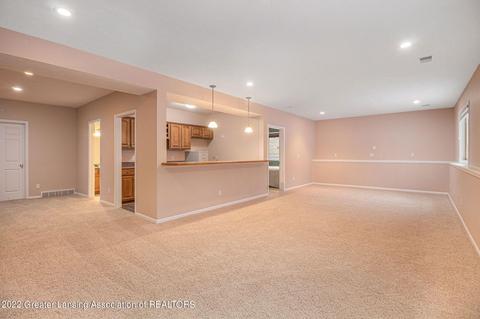 13446 Speckledwood Dr, Dewitt, MI 48820 photo 23