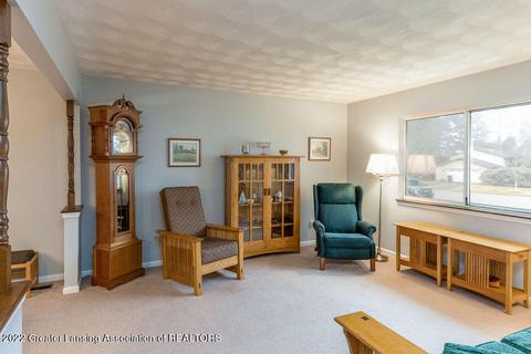 464 Burr Oak Dr, Dimondale, MI 48821 photo 8
