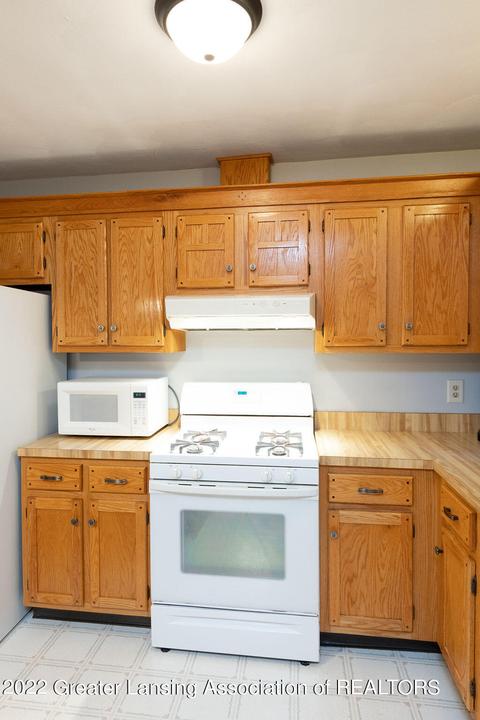 464 Burr Oak Dr, Dimondale, MI 48821 photo 13