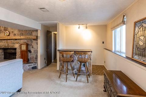 464 Burr Oak Dr, Dimondale, MI 48821 photo 31