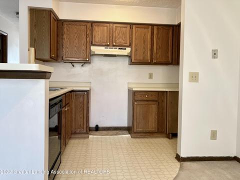 1101 S Chimney Hill Dr, Dewitt, MI 48820 photo 18