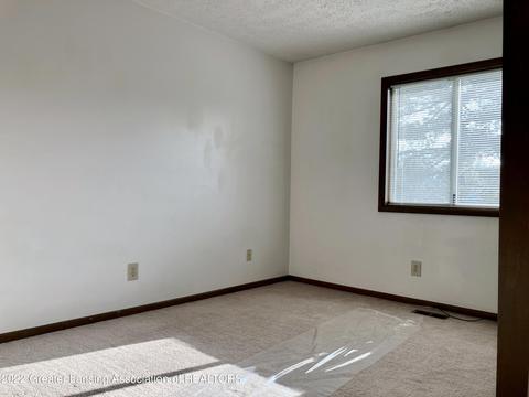 1101 S Chimney Hill Dr, Dewitt, MI 48820 photo 23