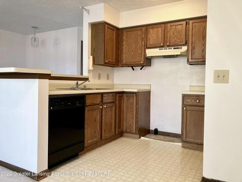 1101 S Chimney Hill Dr, Dewitt, MI 48820 photo 19