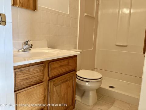 1101 S Chimney Hill Dr, Dewitt, MI 48820 photo 26