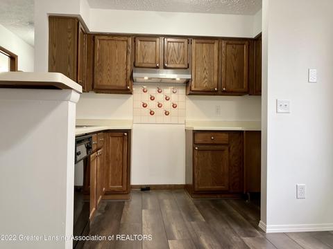1101 S Chimney Hill Dr, Dewitt, MI 48820 photo 4