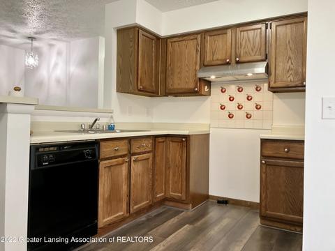 1101 S Chimney Hill Dr, Dewitt, MI 48820 photo 3