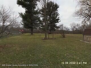 16890 Cedar St, Lansing, MI 48906 photo 4