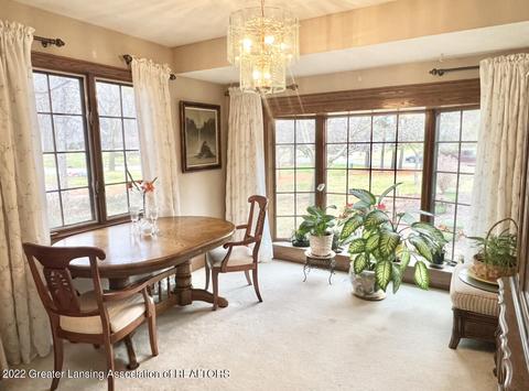 700 E Geneva Dr, Dewitt, MI 48820 photo 12