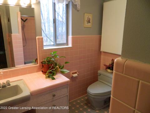 10755 Riverside Dr, Dimondale, MI 48821 photo 22