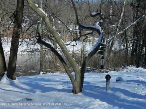 10755 Riverside Dr, Dimondale, MI 48821 photo 13