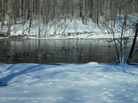 10755 Riverside Dr, Dimondale, MI 48821 photo 21