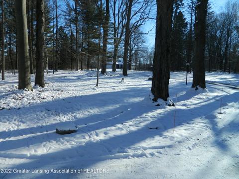 10755 Riverside Dr, Dimondale, MI 48821 photo 6