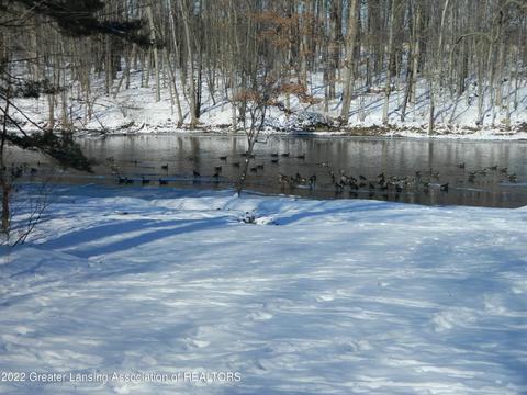 10755 Riverside Dr, Dimondale, MI 48821 photo 37