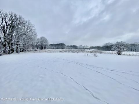 4770 N Gunnell Rd, Dimondale, MI 48821 photo 8