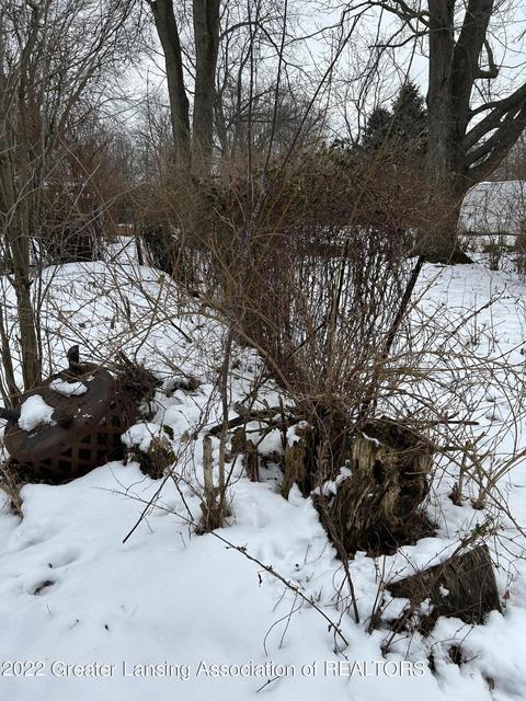 13552 Vine St, Bath, MI 48808 photo 8