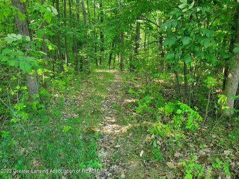 0000 W Pratt Rd, Dewitt, MI 48820 photo 3